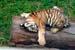 _MG_2239_small img